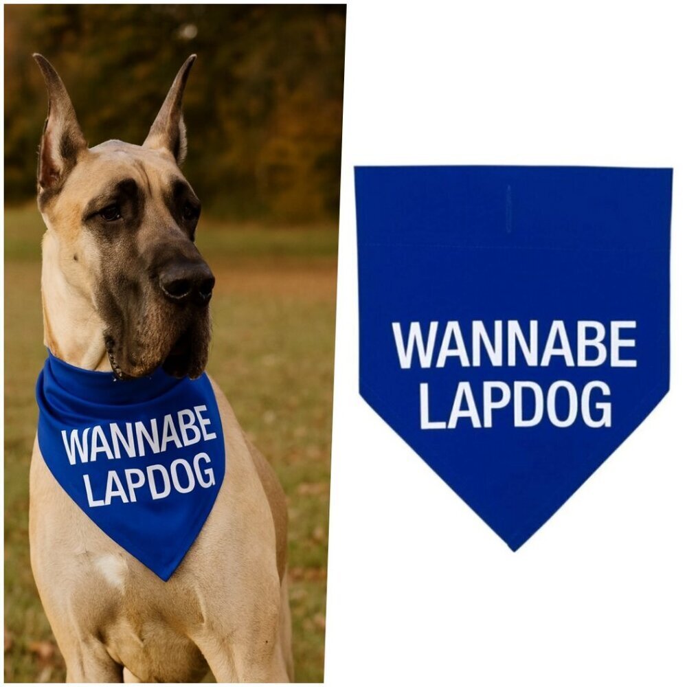 Nordstrom Cute Puppy Dog Bandana Blue Wannabe Lap Dog Gifts